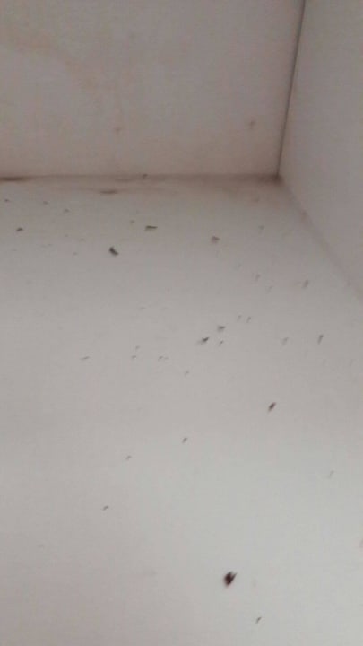 Küchenschrank verdreckt blieb 2 Monate liegen Servatur Alameda de Jandía