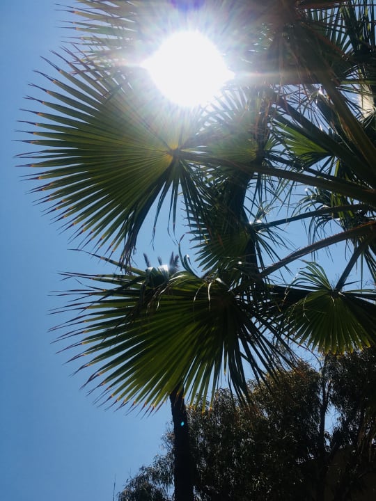 Gartenanlage Aldiana Club Djerba Atlantide