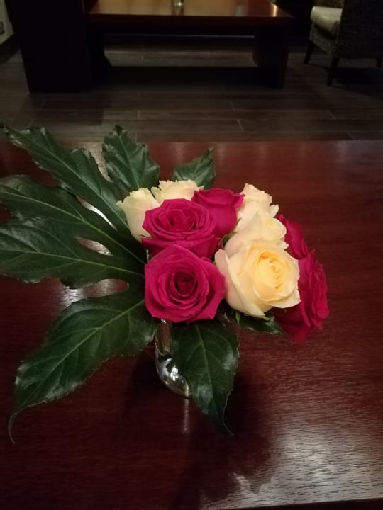 Sonstiges Anantara The Palm Dubai Resort