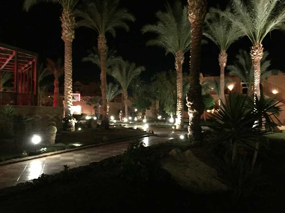 Gartenanlage Jaz Makadi Oasis Resort