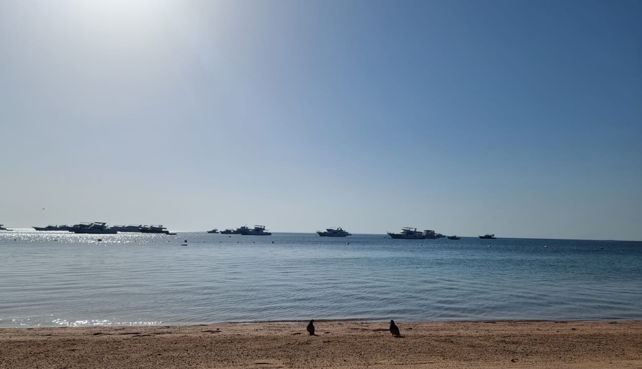 Strand The Grand Palace - Adults only