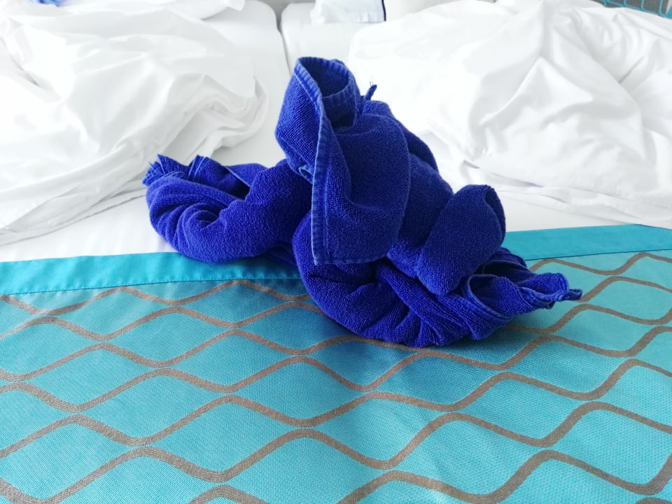 Zimmer Sentido Marea