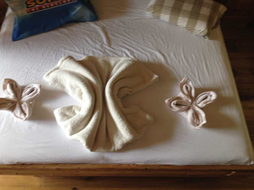 Room maintenance is amazing Alphotel Tyrol