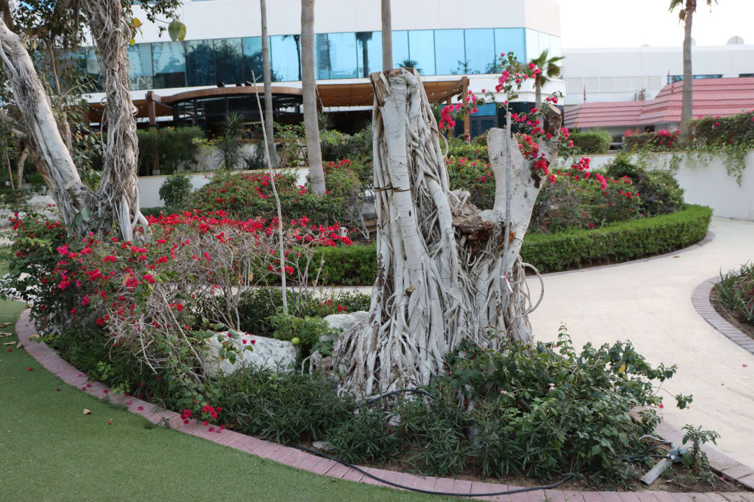 Gartenanlage Sheraton Jumeirah Beach Resort