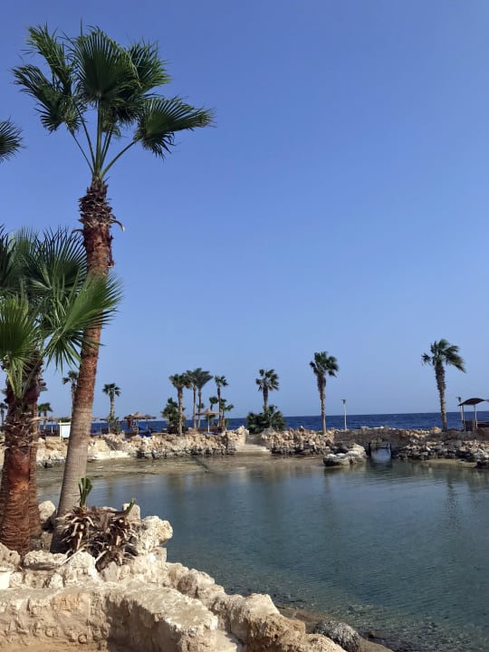 Strand Pickalbatros Citadel Resort