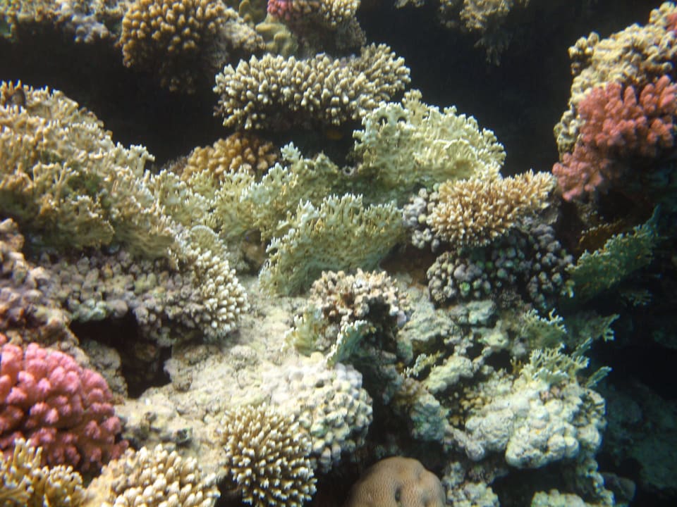 54 Stella Beach Resort & Spa Makadi Bay