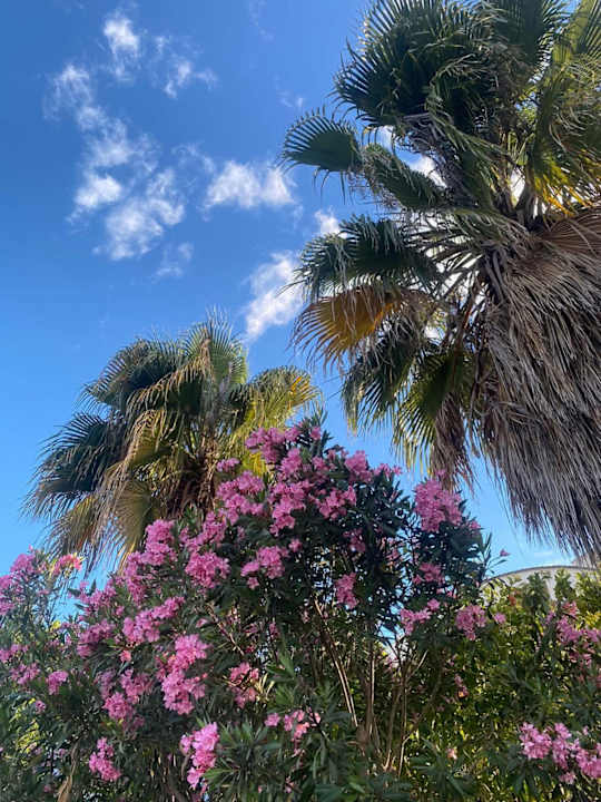 Außenansicht Seher Sun Palace Resort & Spa