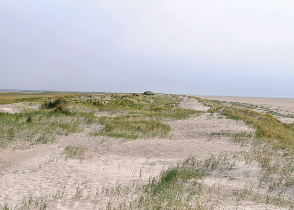 Blick über die Dünen Strandgut Resort