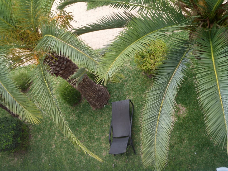 Gartenanlage TMK Hotel Flora Park