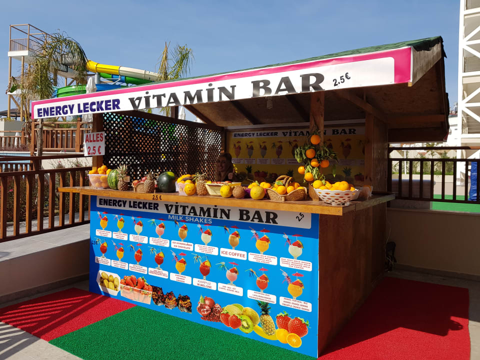 Bester Eiscafe Seashell Vega