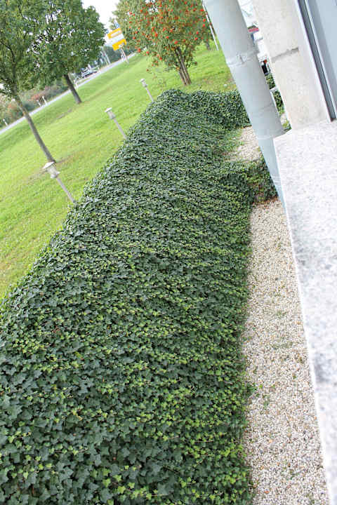 Blick vom Fenster Hotel Nord