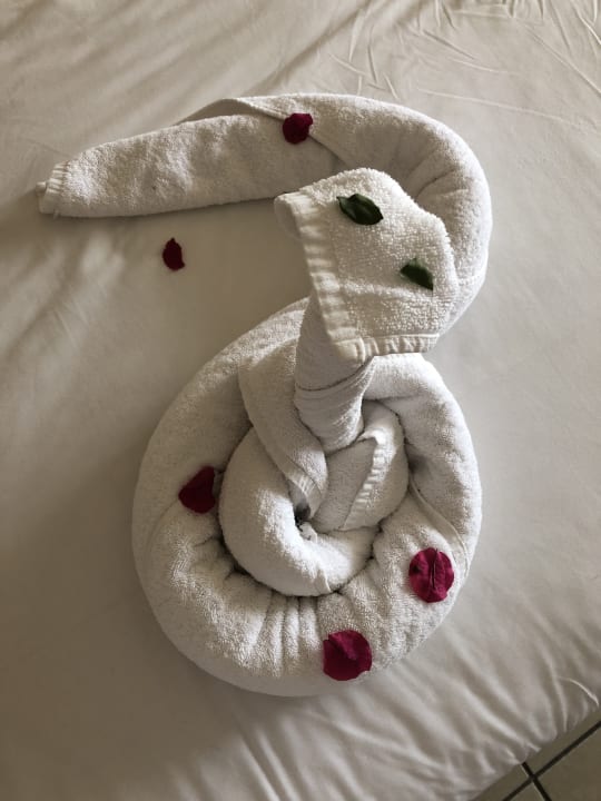 Zimmer Hotel JAZ Makadi Star & Spa