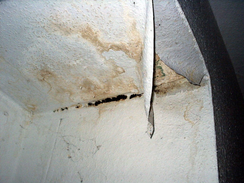 Wie  Bild zuvor Garni Hotel Engel