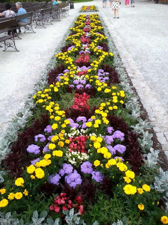 Okoliczny park Villa Park Med. & SPA