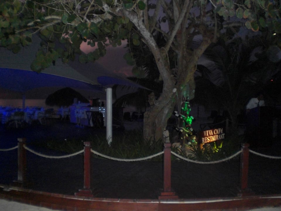 Viva am Abend Hotel Viva Dominicus Palace by Wyndham-All Inclusive Resort