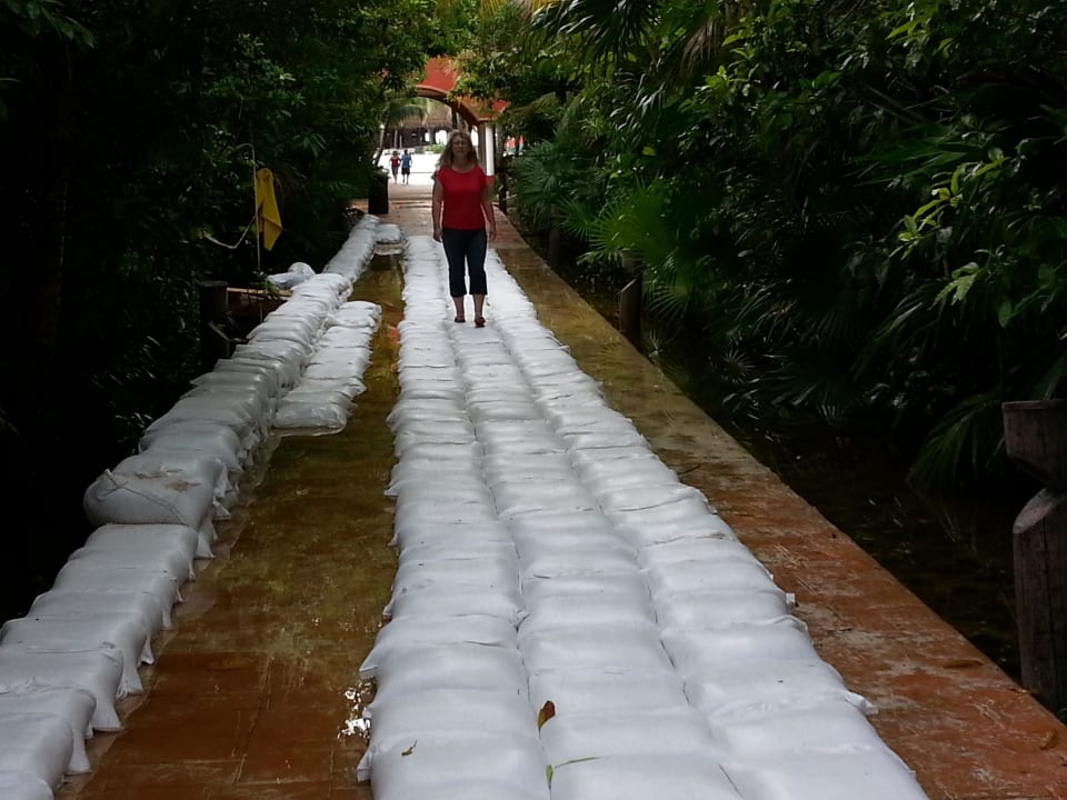 Behelfsweg Catalonia Playa Maroma