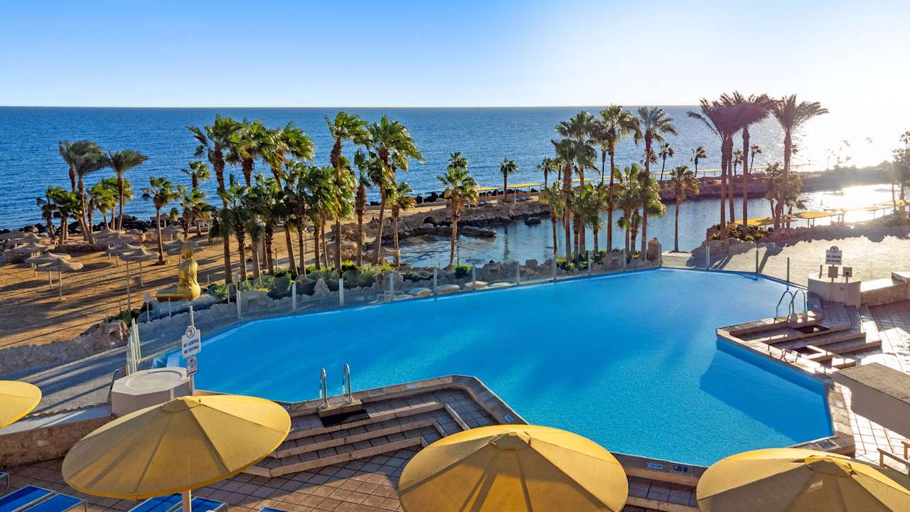 Pool Pickalbatros Citadel Resort