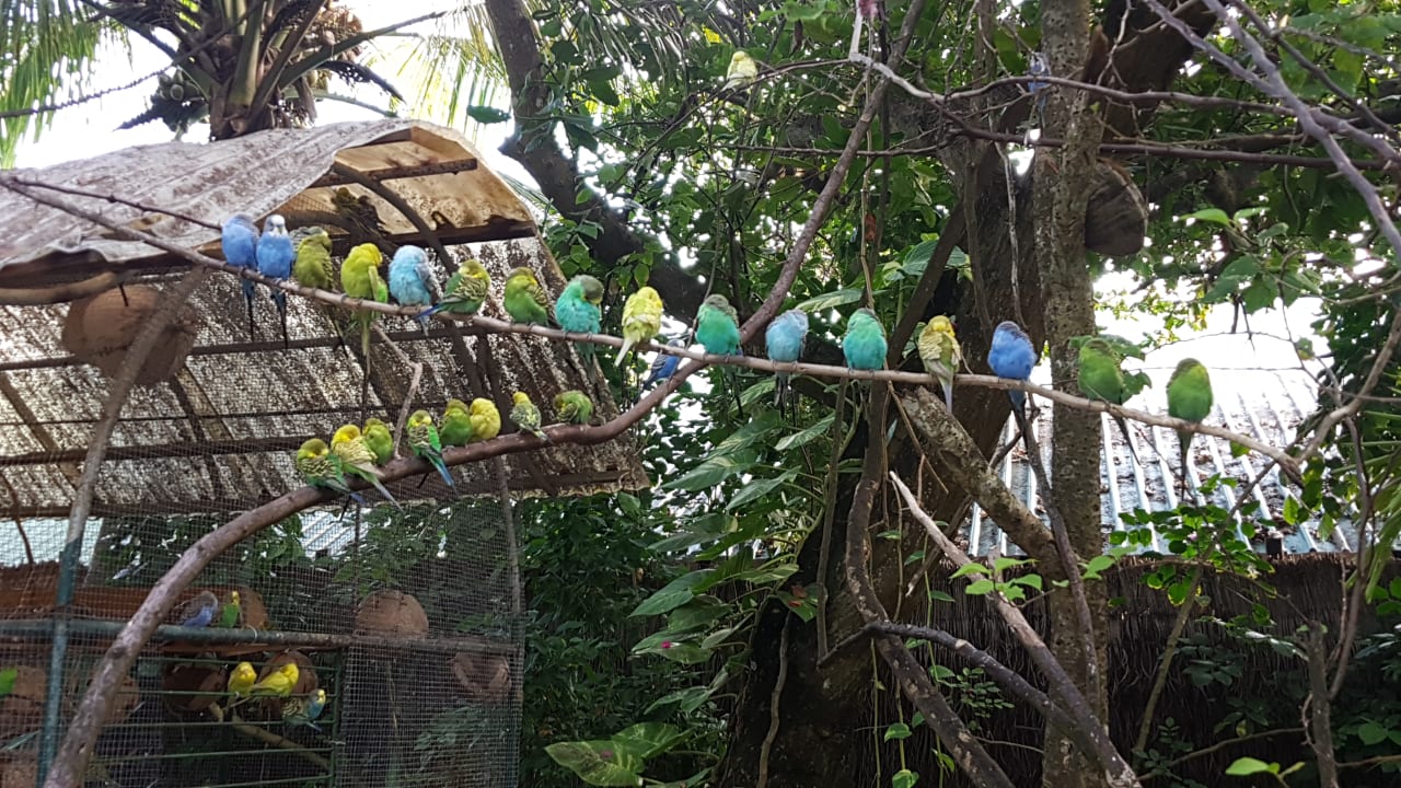 Sonstiges Angaga Island Resort