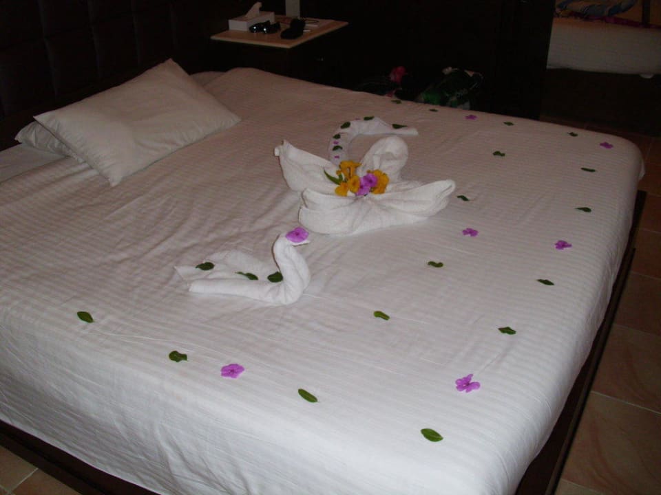 Danke Mohamed Pickalbatros Alf Leila Wa Leila Resort - Neverland Hurghada