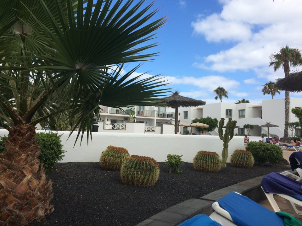 Gartenanlage Hotel Floresta