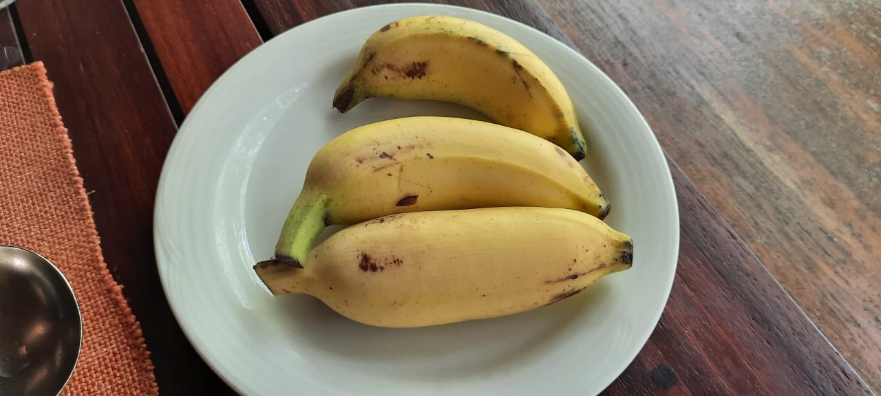 Gastro NH Collection Maldives Reethi Resort