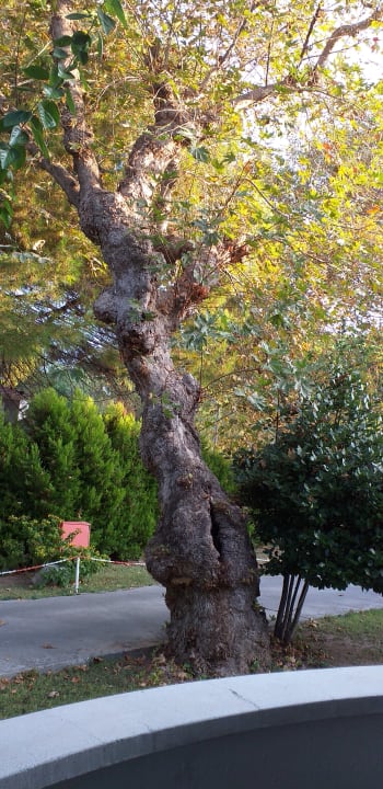 Ausblick Dogan Paradise Beach