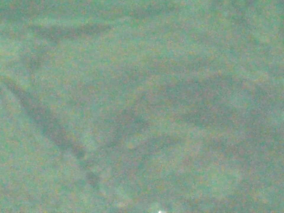 So klares Wasser Falkensteiner Hotel Adriana