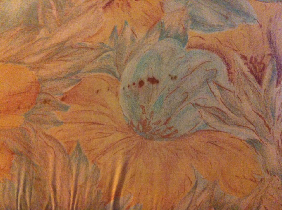 Couch (Blutflecken) Apartments Polynesia Plava Laguna