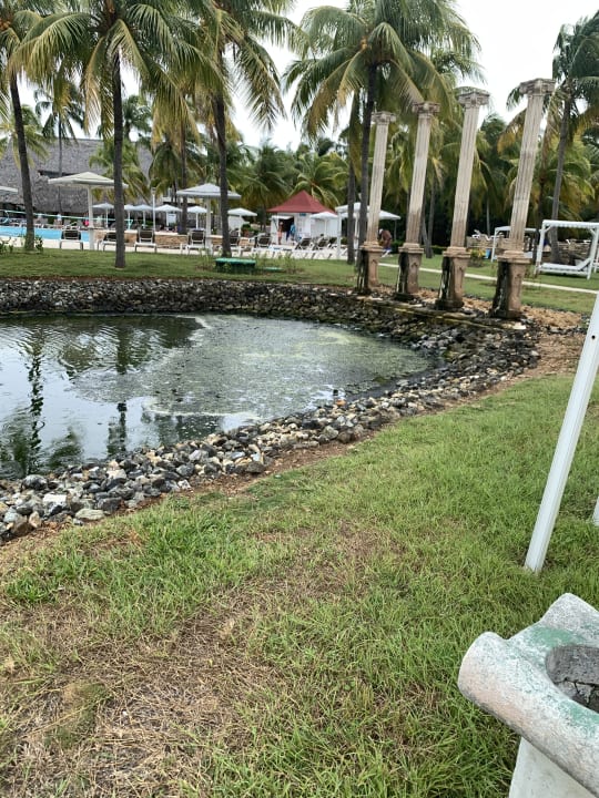 Gartenanlage Melia Las Antillas - Adults only
