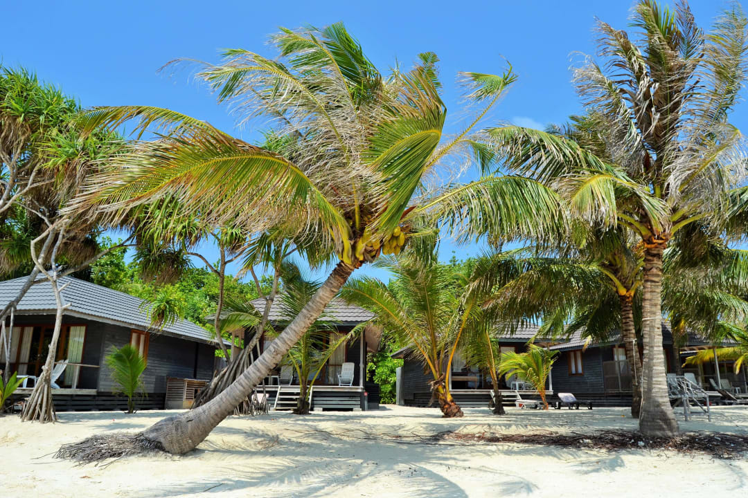 O-Resort Kuredu Island Resort & Spa