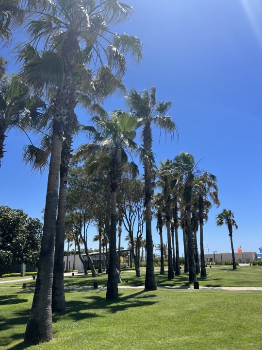 Außenansicht Paloma Finesse