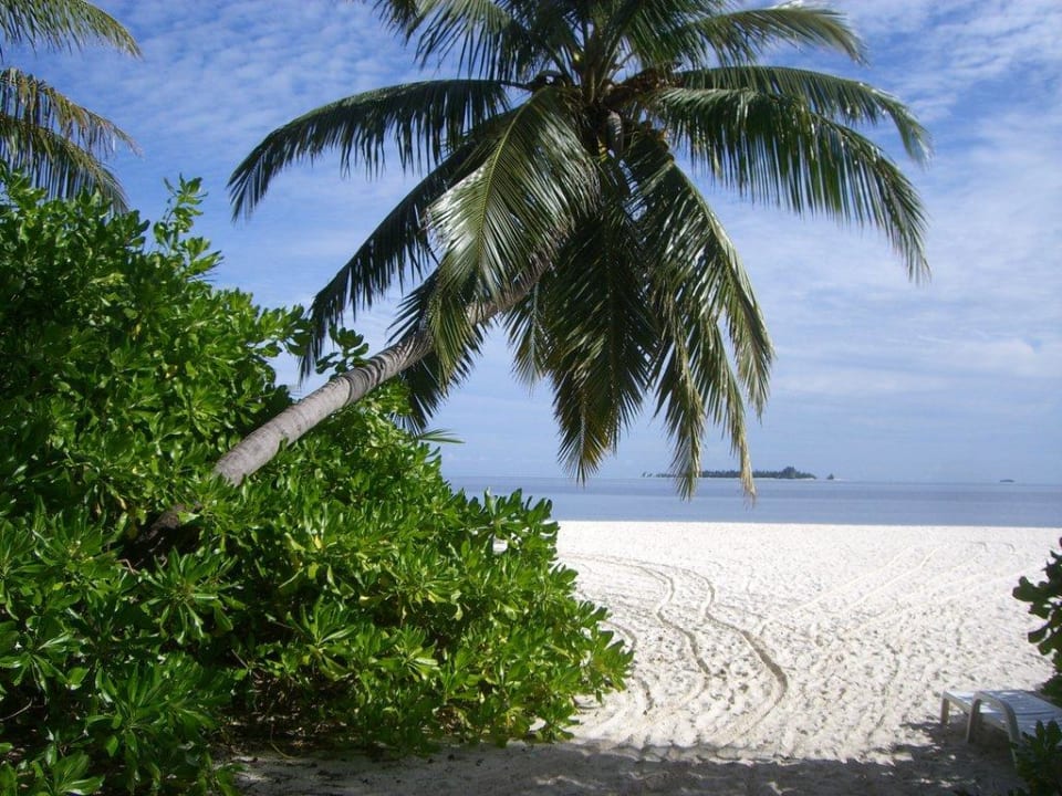 Strand Fihalhohi Maldives