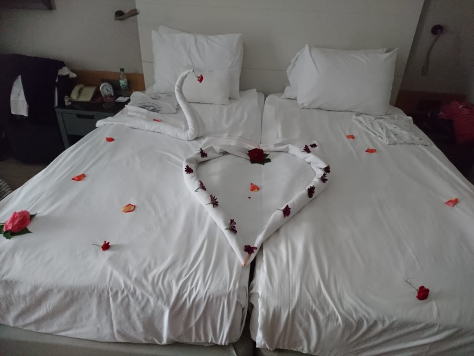 Zimmer Trendy Aspendos Beach Hotel