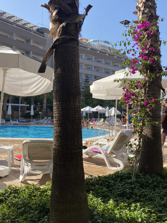 Pool Dizalya Palm Garden