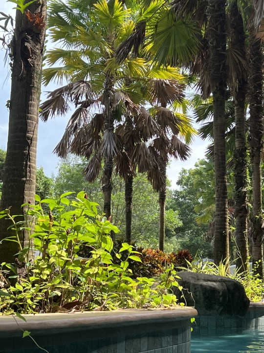 Gartenanlage Maikhao Palm Beach Resort