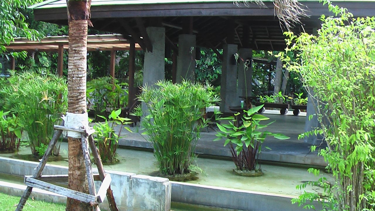 Untergliederte Pflanzenabschnitte Peace Laguna Resort and Spa