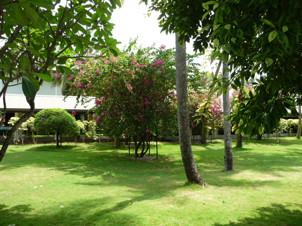 Gepflegter Gartenteil Villa Park Sun Island