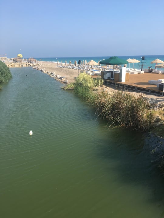 Ausblick auf dem Weg zum Strand Starlight Resort Hotel