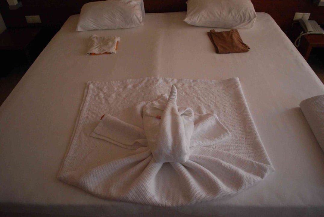 Beautiful Timo Deluxe Resort