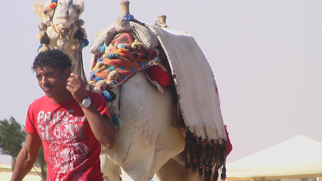 Stella Stella Beach Resort & Spa Makadi Bay