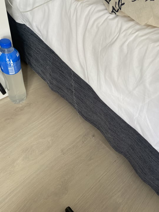 Zimmer BG Hotel Caballero