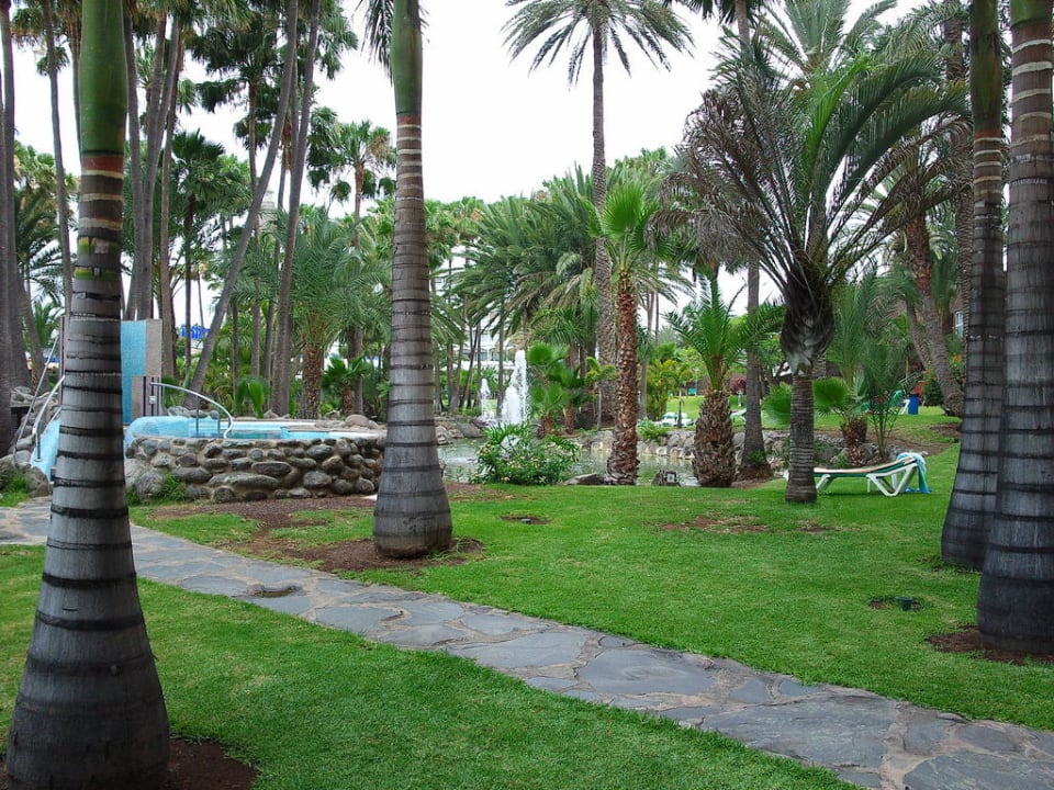 Gartenanlage Hotel Riu Palace Oasis
