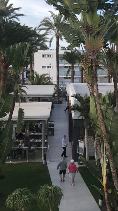 Gastro Hotel Riu Palace Palmeras