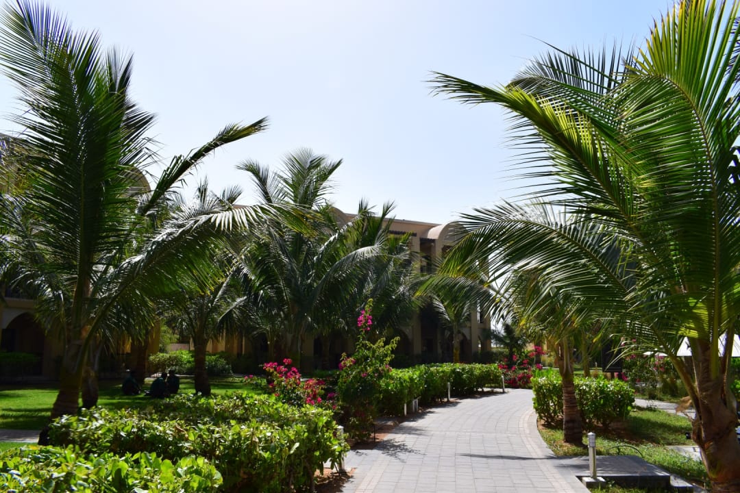 Gartenanlage DoubleTree by Hilton Resort & Spa Marjan Island