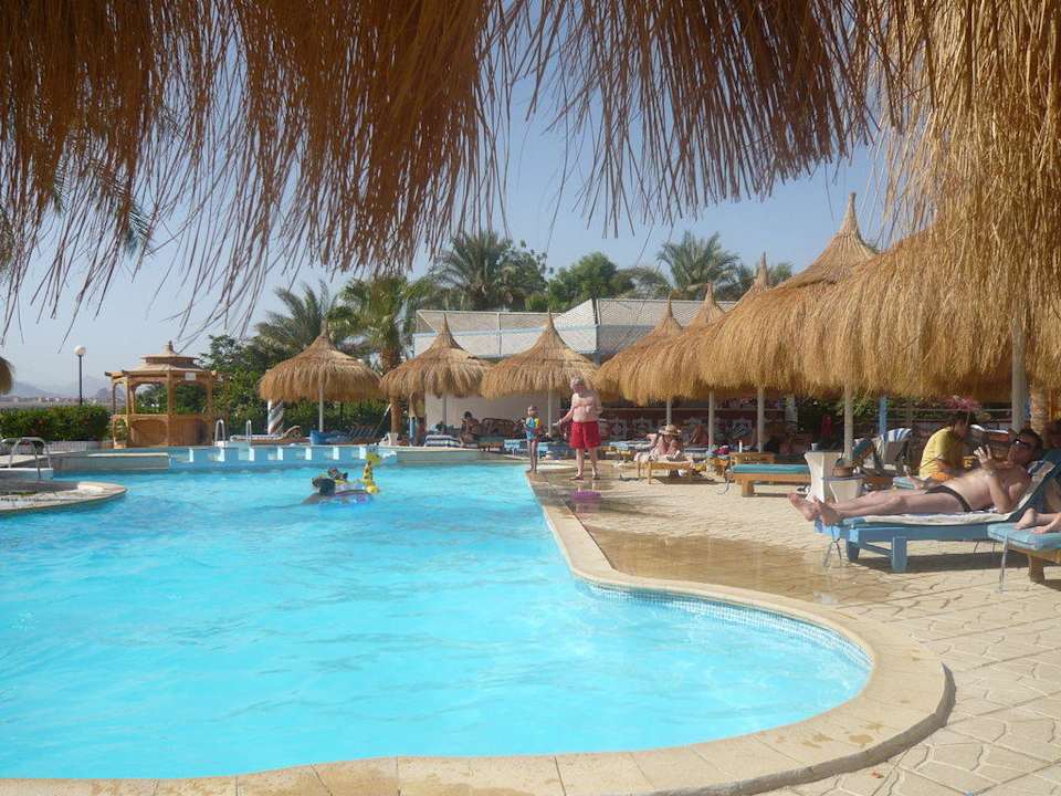 Hinterer Pool Albatros Sharm Resort