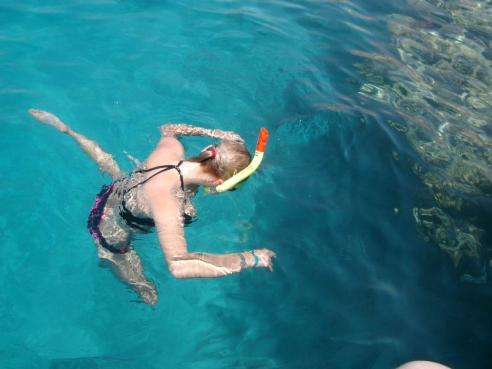 Beim schnorcheln Reef Oasis Beach Resort