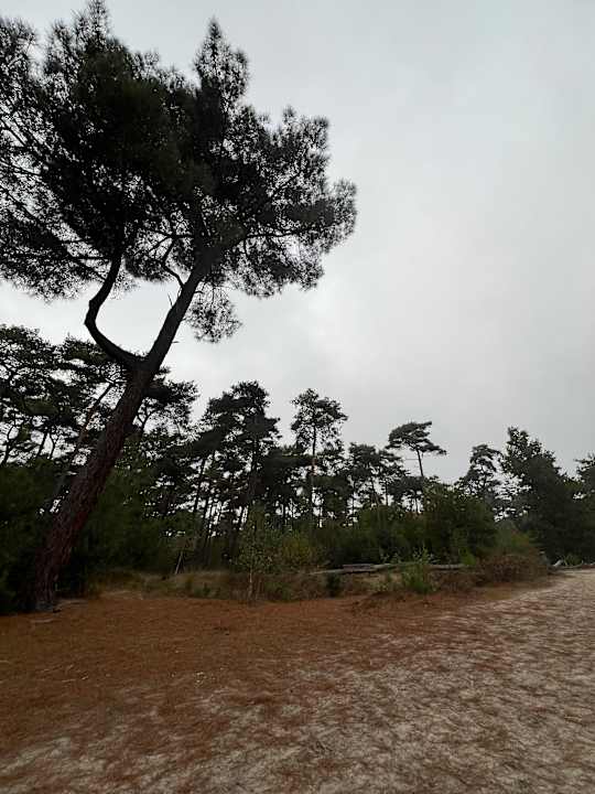 Sonstiges Roompot Park De Peel