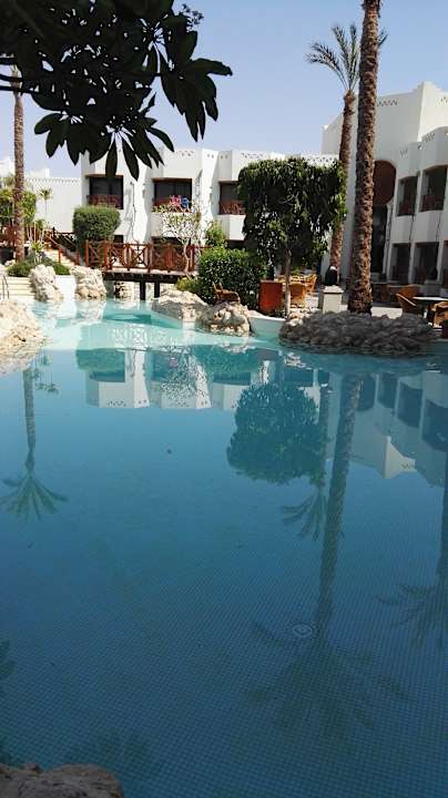 Pool Ghazala Gardens