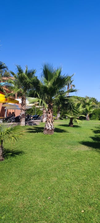 Außenansicht Club Turtas Beach Hotel