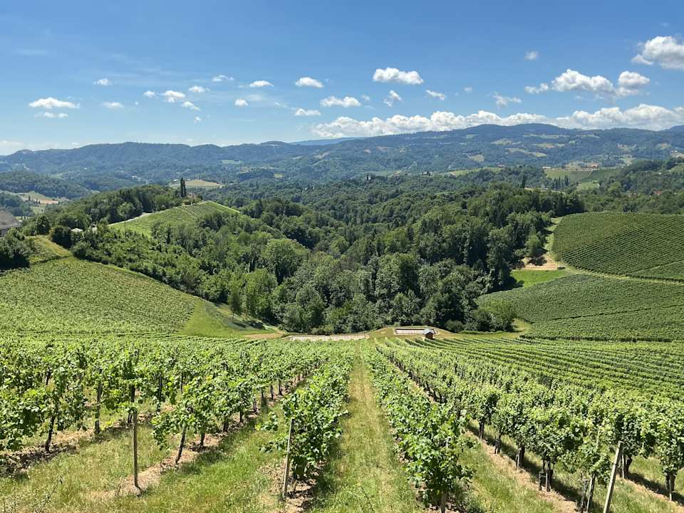 Ausblick Gasthof Mahorko